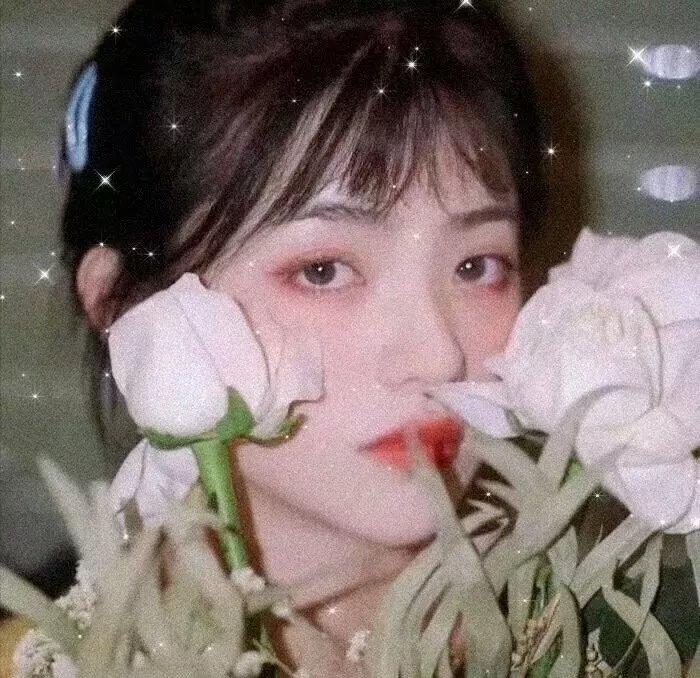 桃花坞开放中第四季